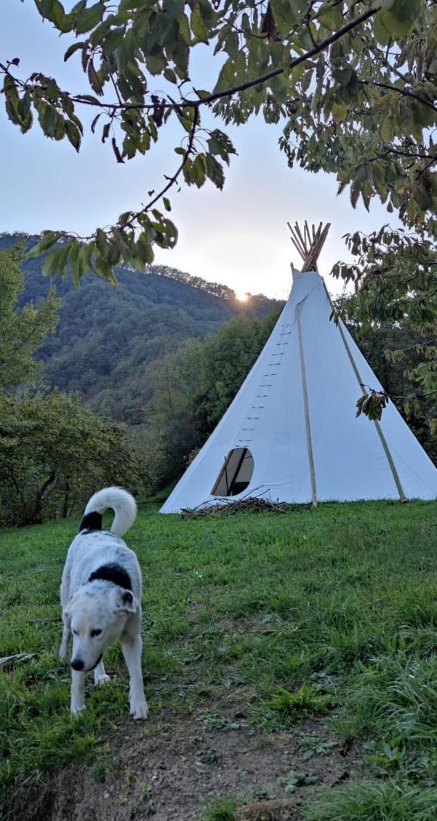 مبيت وإفطار Coreglia Ligure @Gatetothewild المظهر الخارجي الصورة